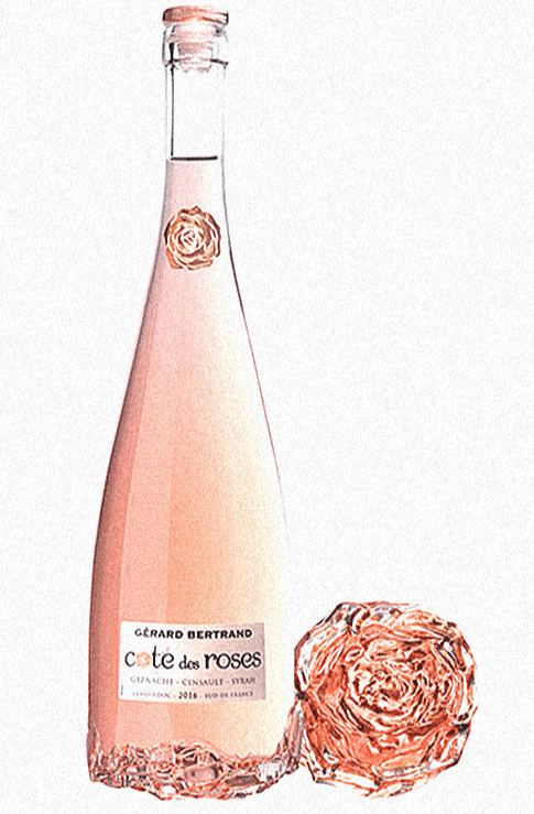 bouteille de rosé côte des roses